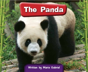 The-panda