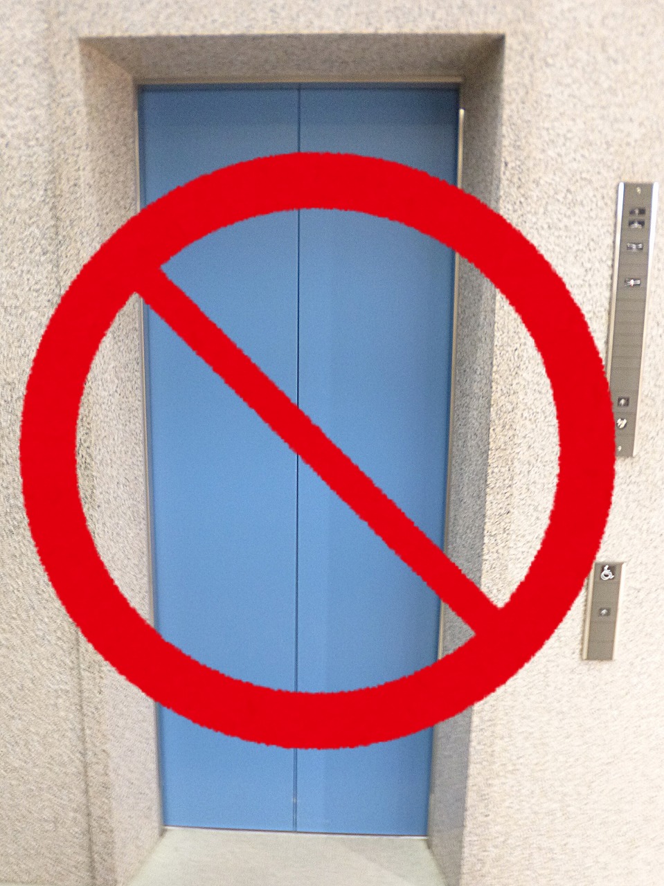 Web-OpuL-No.2025-1_tokusyu1_5